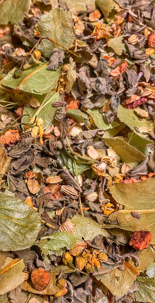 Coffret Signe Poissons