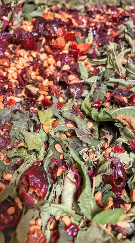 Coffret Signe Scorpion